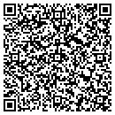 QR code with Cybernight Software LLC contacts