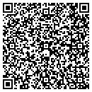 QR code with Carl S Feen & Assoc contacts