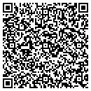 QR code with Public Storage contacts