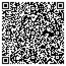 QR code with Premiere Business Group contacts