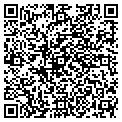 QR code with J City contacts