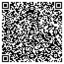 QR code with Pulse Corporation contacts