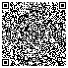 QR code with Public Sector Group Inc contacts