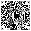QR code with Consumer Value Store contacts