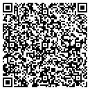 QR code with Premium Pool Service contacts