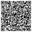QR code with Pub Games Plus Inc contacts