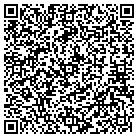 QR code with Publix Super Market contacts