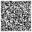 QR code with Blue Ribbon Premiums contacts