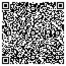 QR code with Public Interconnect Co contacts