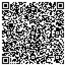 QR code with Carvel 0859 Deer Park contacts