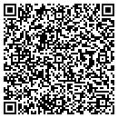 QR code with Blaiseco Inc contacts