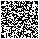 QR code with Princess Theater contacts