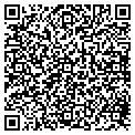 QR code with Rise contacts