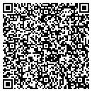 QR code with Project Inertia LLC contacts