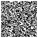 QR code with Team Synergy contacts