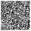 QR code with Coso contacts