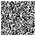 QR code with T Gear contacts