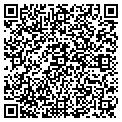 QR code with Cicada contacts