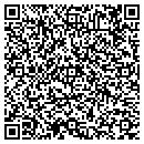 QR code with Punks Ice Cream Shoppe contacts