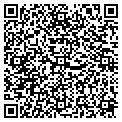 QR code with Cvdts contacts