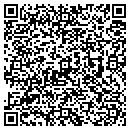 QR code with Pullman Park contacts
