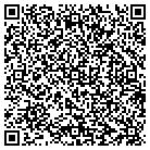 QR code with Pullouts Plus Cabinetry contacts