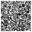 QR code with Blue Ribbon Car Wash contacts