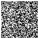 QR code with Precision Craftsman contacts