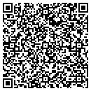 QR code with Team Excel Inc contacts