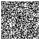 QR code with Purling Roller Rink contacts