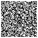 QR code with Pro Park Inc contacts