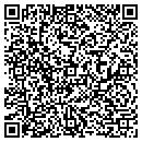 QR code with Pulaski Skate Center contacts