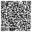 QR code with Bagelz contacts