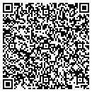 QR code with Provolt Design contacts