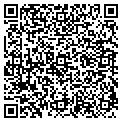 QR code with D Ge contacts