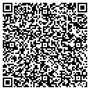 QR code with Carlson Testing Inc contacts