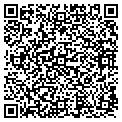 QR code with Tilt contacts