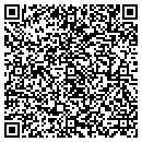 QR code with Professio Nail contacts