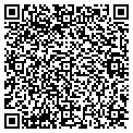 QR code with Codel contacts