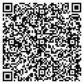 QR code with Tilt contacts
