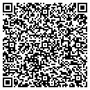 QR code with Pulseworks contacts