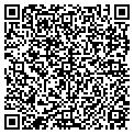 QR code with Collars contacts