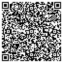 QR code with Punch A&R Inc contacts