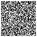 QR code with Precision Performance contacts