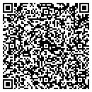 QR code with Premier Graphics contacts