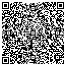QR code with Cf3 Luxury Homes Inc contacts