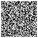 QR code with Brians Midwest Mowing contacts