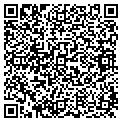 QR code with Lids contacts