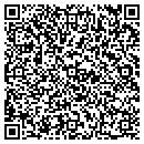 QR code with Premier Awards contacts