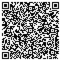 QR code with Curve LLC contacts